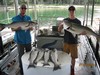 (07/27/2018) - Nice Striped Bass